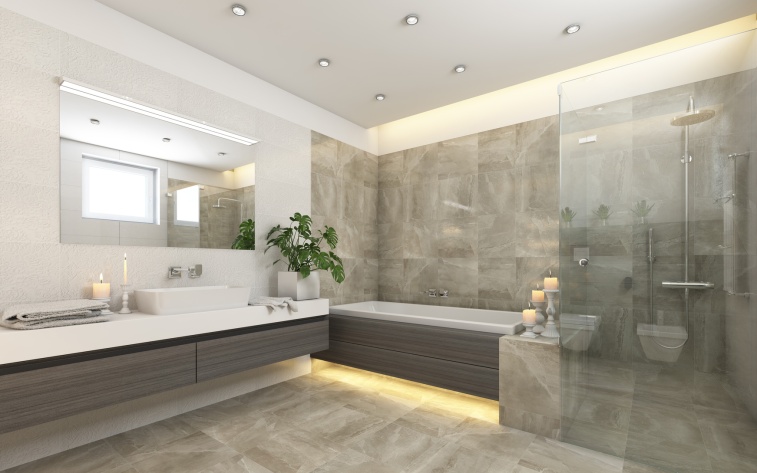 Our Gallery